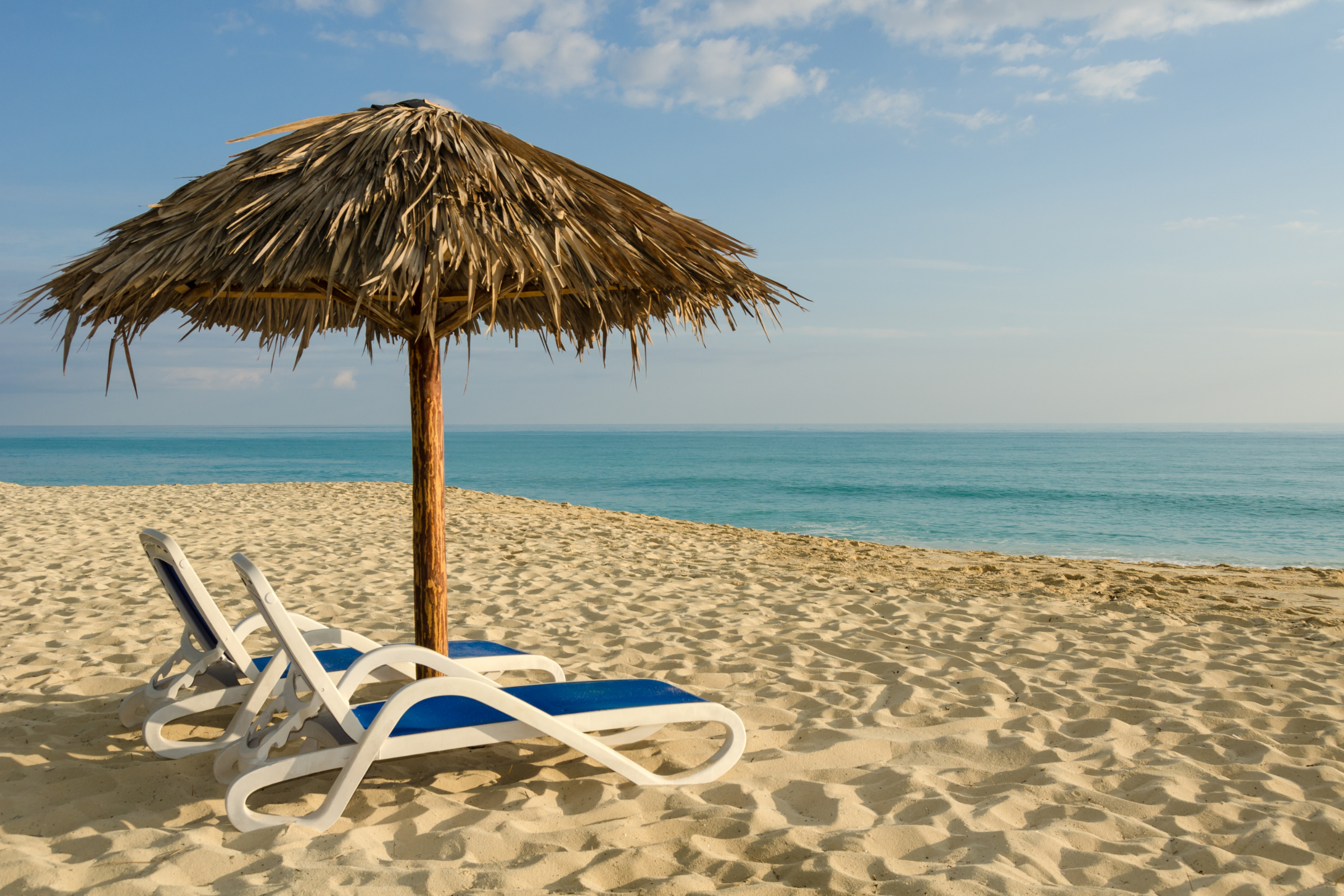 cayo ensenachos.webp
